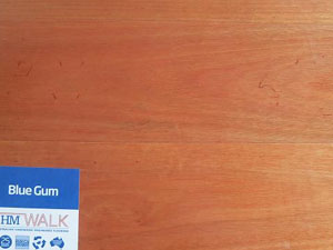 HM Walk Blue Gum