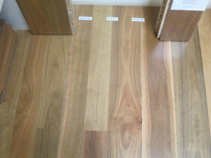 Spotted Gum