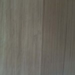 Blackbutt